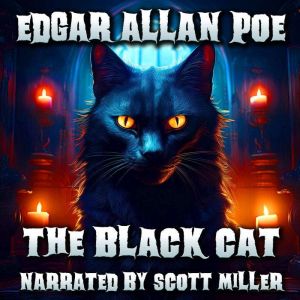 The Black Cat: A Man and His Cat. A Bond Broken. Then Came the Madness.