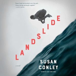 Landslide: A novel
