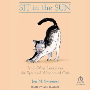 Sit in the Sun, Jon M. Sweeney