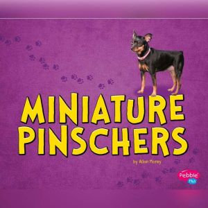 Miniature Pinschers