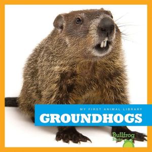 Groundhogs, Cari Meister