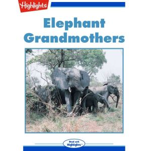 Elephant Grandmothers, Jack Myers, Ph.D., Senior Science Editor