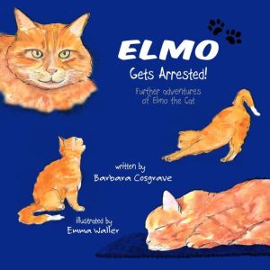 Elmo Gets Arrested!, Barbara Cosgrave