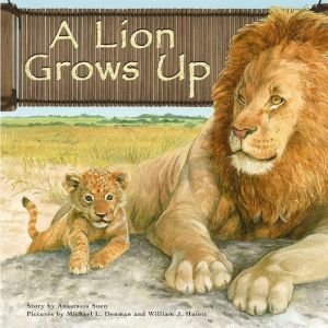 A Lion Grows Up, Anastasia Suen