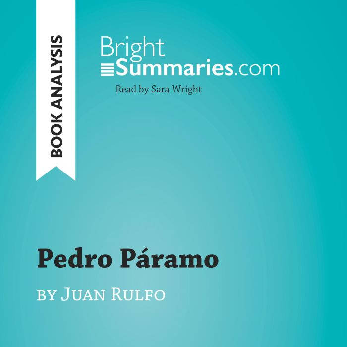 Pedro Paramo by Juan Rulfo Book Anal..., Bright Summaries
