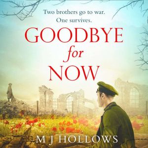 Goodbye for Now, M.J. Hollows
