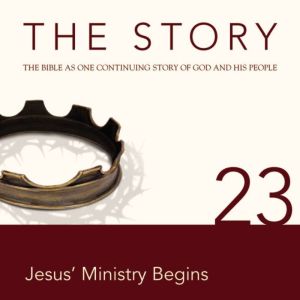 The Story Audio Bible  New Internati..., Zondervan