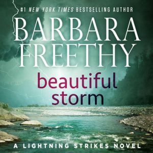 Beautiful Storm, Barbara Freethy