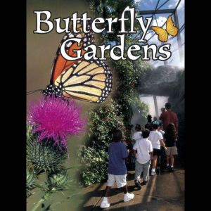 Butterfly Gardens, Jennifer Gillis