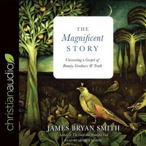 The Magnificent Story: Uncovering a Gospel of Beauty, Goodness, and Truth, James Bryan Smith