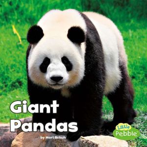 Giant Pandas, Mari Schuh