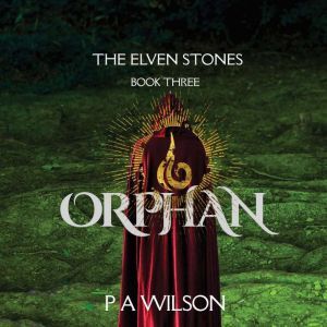 The Elven Stones Orphan, P A Wilson