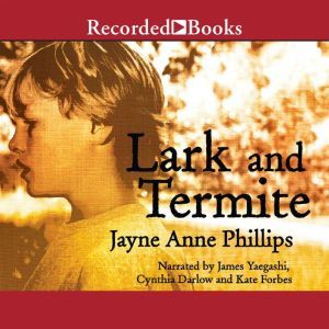 Lark and Termite, Jayne Anne Phillips