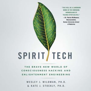 Spirit Tech, Wesley J. Wildman, Ph.D