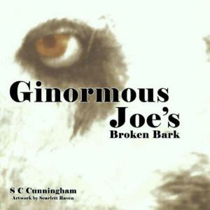 Ginormous Joes Broken Bark, S C Cunningham
