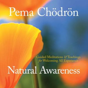 Natural Awareness: Guided Meditations and Teachings for Welcoming All Experience