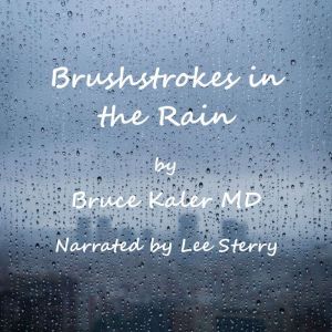 Brushstrokes in the Rain, Bruce Kaler MD