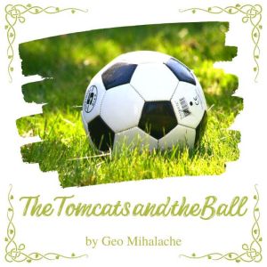 The Tomcats and the Ball, Geo Mihalache