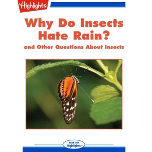 Why Do Insects Hate Rain?, Highlights for Children