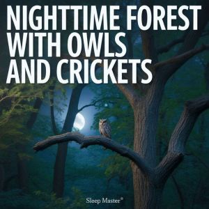 Nighttime Forest with Owls and Cricke..., Sleep Master
