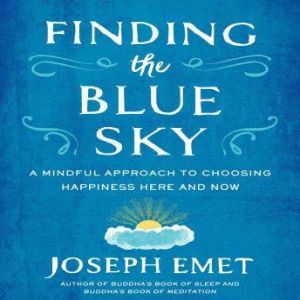 Finding the Blue Sky, Joseph Emet