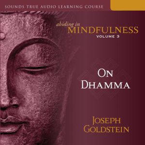 Abiding in Mindfulness, Volume 3: On Dhamma