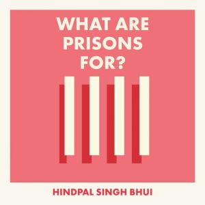 What Are Prisons For?