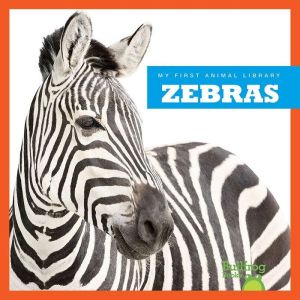 Zebras, Cari Meister