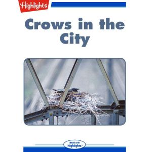 Crows in the City, Hideyo Kubota