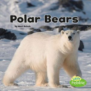 Polar Bears, Mari Schuh
