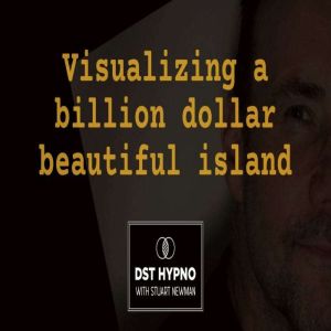 Visualizing a billion dollar beautifu..., Stuart Newman