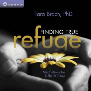 Finding True Refuge: Meditations for Difficult Times
