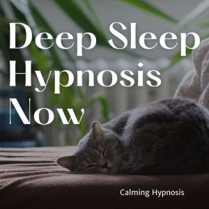 Deep Sleep Hypnosis Now