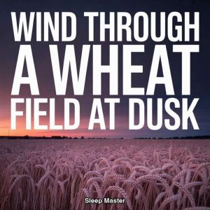 Wind Through a Wheat Field at Dusk, Sleep Master