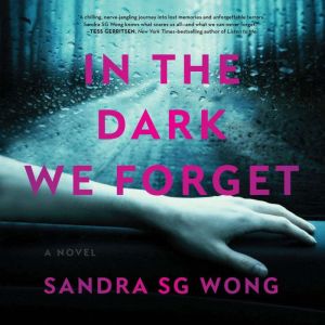 In the Dark We Forget, Sandra SG Wong