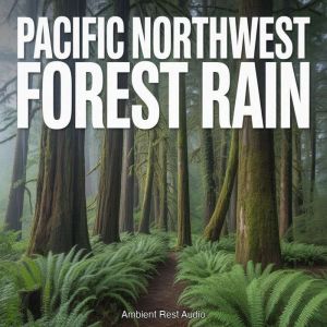 Pacific Northwest Forest Rain, Ambient Rest Audio