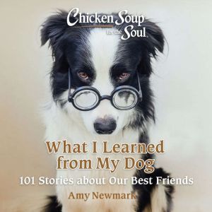 Chicken Soup for the Soul What I Lea..., Amy Newmark