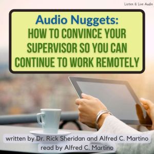 Audio Nuggets How To Convince Your S..., Rick Sheridan