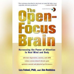 The OpenFocus Brain, Les Fehmi