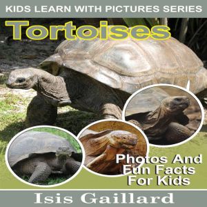 Tortoises, Isis Gaillard