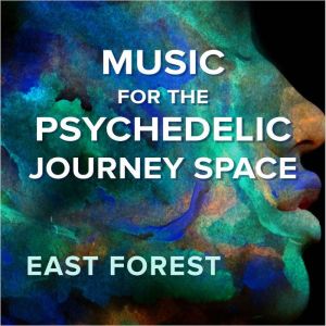 Music for the Psychedelic Journey Space