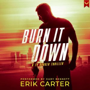 Burn It Down: A Ty Draker Action Thriller