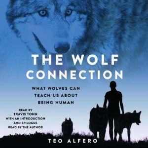 The Wolf Connection, Teo Alfero