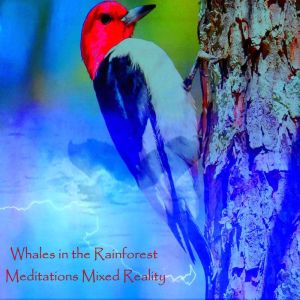 Whales in the Rainforest  Meditation..., Anthony Morse
