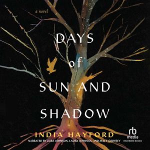 Days of Sun and Shadow, India Hayford