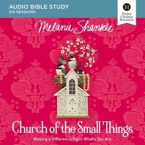 Church of the Small Things Audio Stud..., Melanie Shankle
