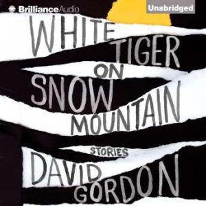 White Tiger on Snow Mountain, David Gordon