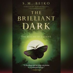 The Brilliant Dark