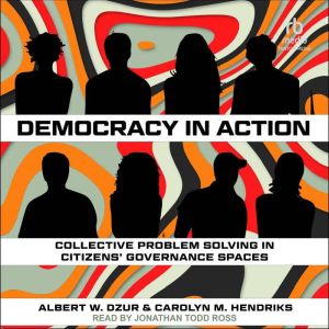 Democracy in Action: Collective Problem Solving in Citizens' Governance Spaces