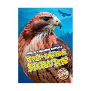 Redtailed Hawks, Megan BorgertSpaniol